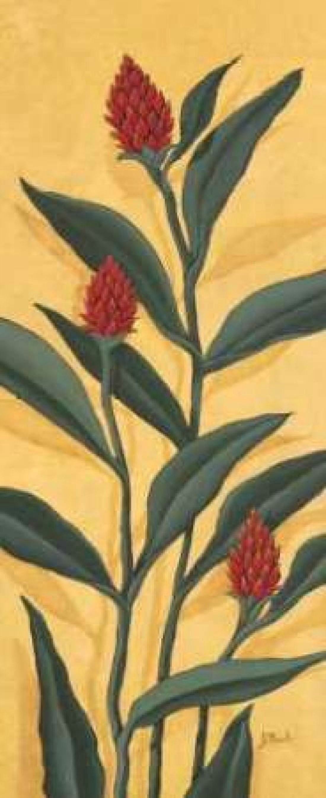 Red Ginger Canvas Art - Paul Brent (24 x 48)