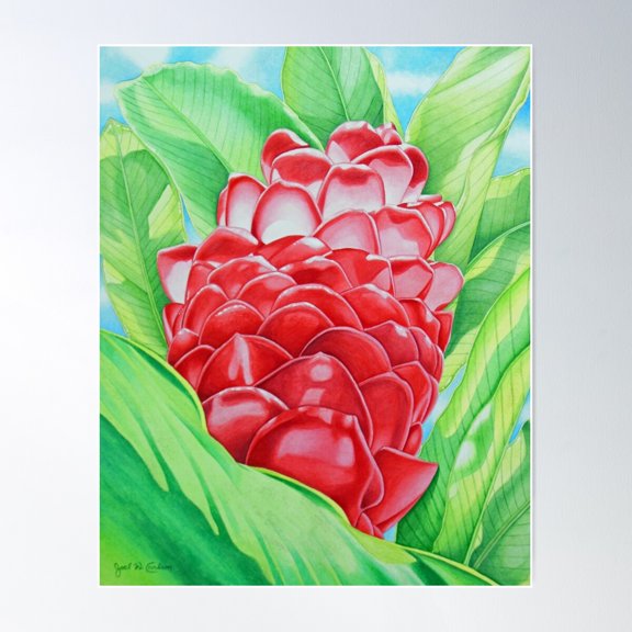 Red Ginger Watercolour Poster Wall Art, Modern Wall Decor For Living Room Bedroom, 24x36 UNFRAMED