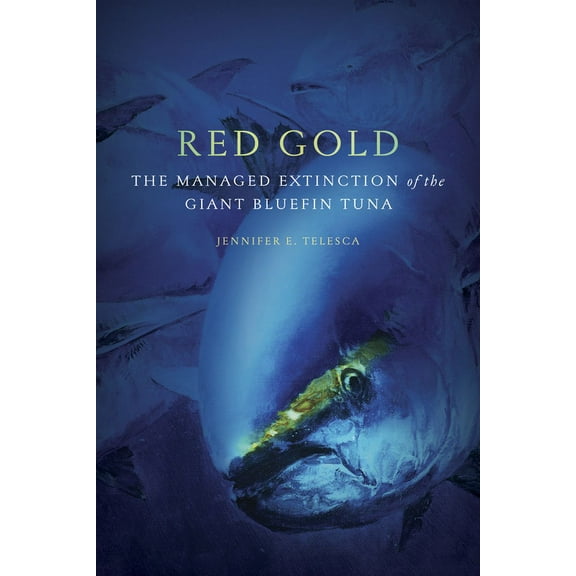 Red Gold : The Managed Extinction of the Giant Bluefin Tuna (Paperback)