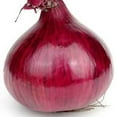 thumbnail image 1 of Red Grano Onion Seed - 1/4 LB ~33,600 Seeds - Heirloom, Open Pollinated, Non-GMO, Farm & Vegetable Gardening Seeds, 1 of 2