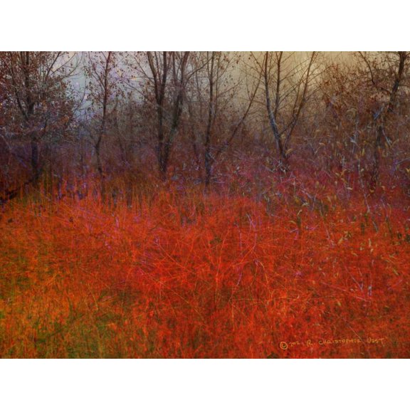 Red Grass I Poster Print - Chris Vest (24 x 18)