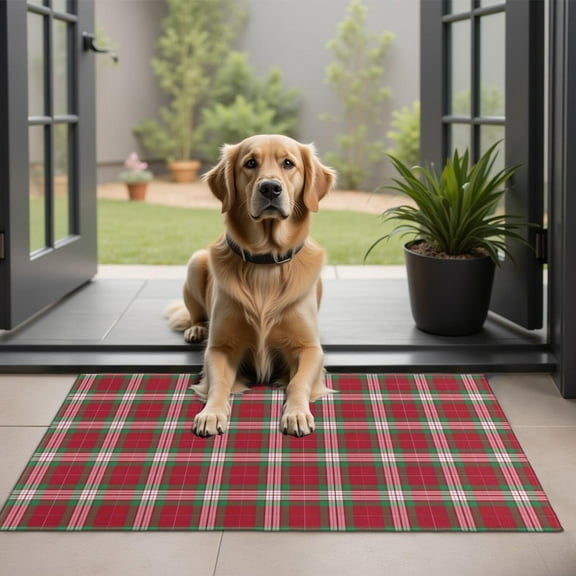 Red and Green Christmas Plaid Pattern Door Rugs,Washable Non Slip Door Mats Indoor,Decorative Door Mats,Entry Mat Indoor for Entrance,Bedroom,Kitchen,Bathroom,20"x32"