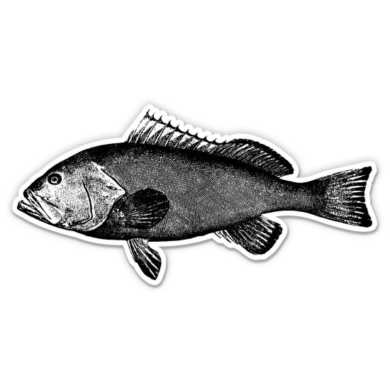 Red Grouper Fish Vintage Style - 3" Vinyl Sticker - For Car Laptop Water Bottle Phone - Waterproof Decal