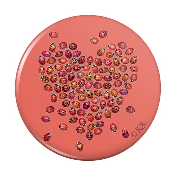 Red Heart Lady Bugs Love Valentine Pinback Button Pin