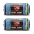 thumbnail image 1 of Red Heart® Super Saver Jumbo™ #4 Worsted Acrylic Yarn, Parrot stripe 10oz/283g 482 Yards (2 Pack), 1 of 4
