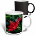 thumbnail image 1 of 3drose, Red Hibiscus, 11oz Magic Transforming Mug, 1 of 7