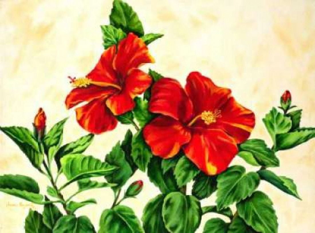 Red Hibiscus Canvas Art - Jane Segrest (22 x 28)
