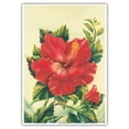 thumbnail image 1 of Red Hibiscus Hawai’i - Vintage Hawaiian Airbrush Art by Ted Mundorff c.1940s - Master Art Print 10in x 14in, 1 of 4