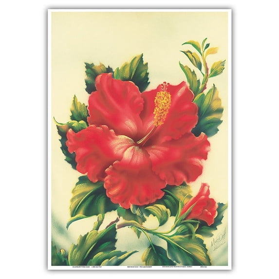 Red Hibiscus Hawai’i - Vintage Hawaiian Airbrush Art by Ted Mundorff c.1940s - Master Art Print 10in x 14in
