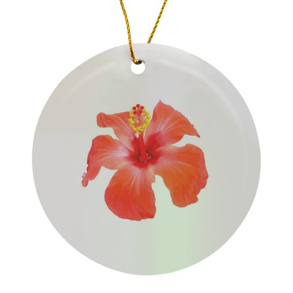 3drose, Red Hibiscus Vector Isolated Botanical Art, Circle Porcelain Ornament