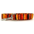thumbnail image 1 of Red Hot Stripes Dog Leash - Size - Mini, 1 of 1
