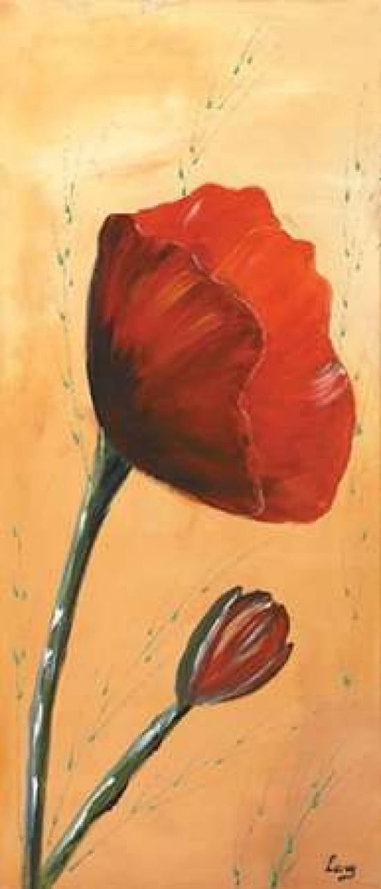 Red I Canvas Art - Leny (10 x 20)