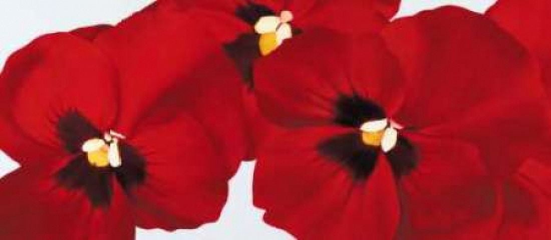 Red I - pansies Canvas Art - Yvonne Poelstra-Holzhaus (10 x 20)