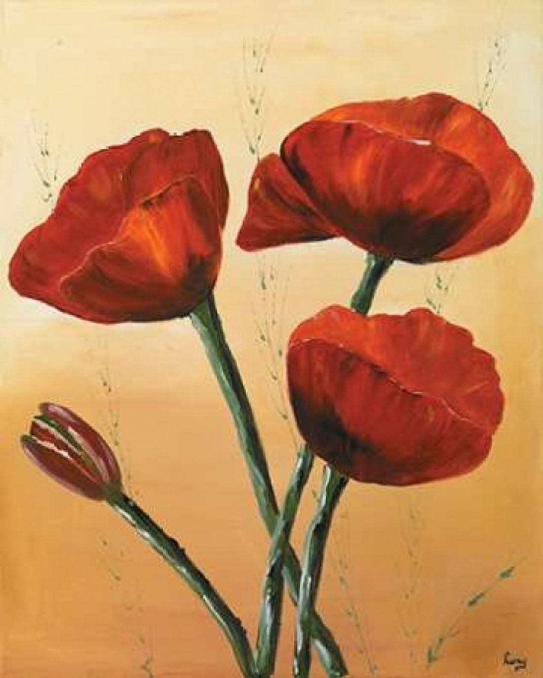 Red II Canvas Art - Leny (24 x 30)