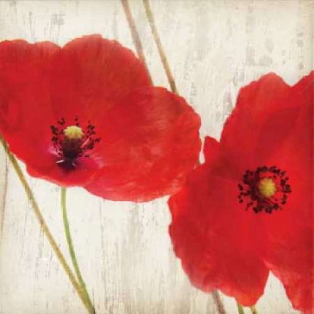 Red III Canvas Art - Amy Melious (24 x 24)