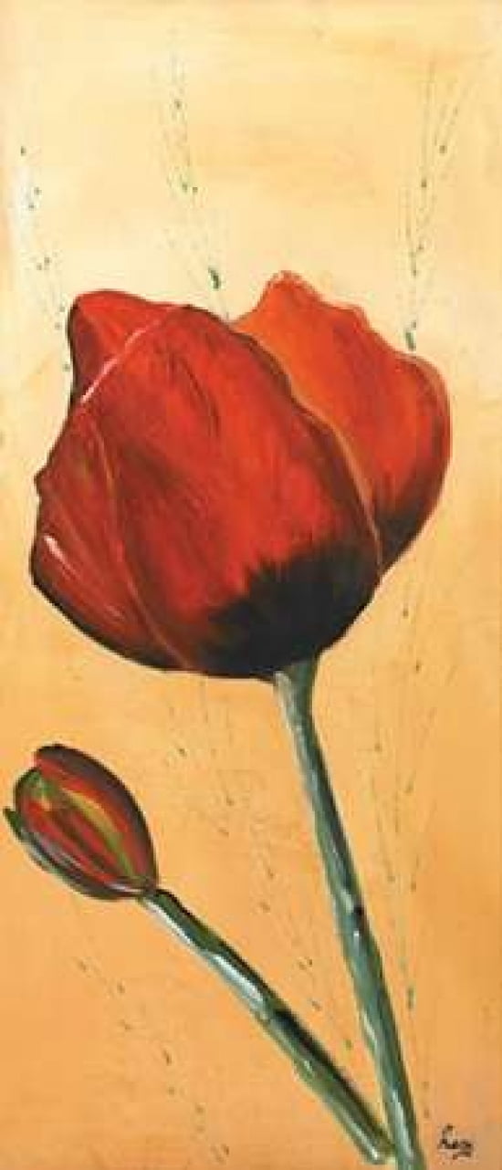 Red III Canvas Art - Leny (10 x 20)