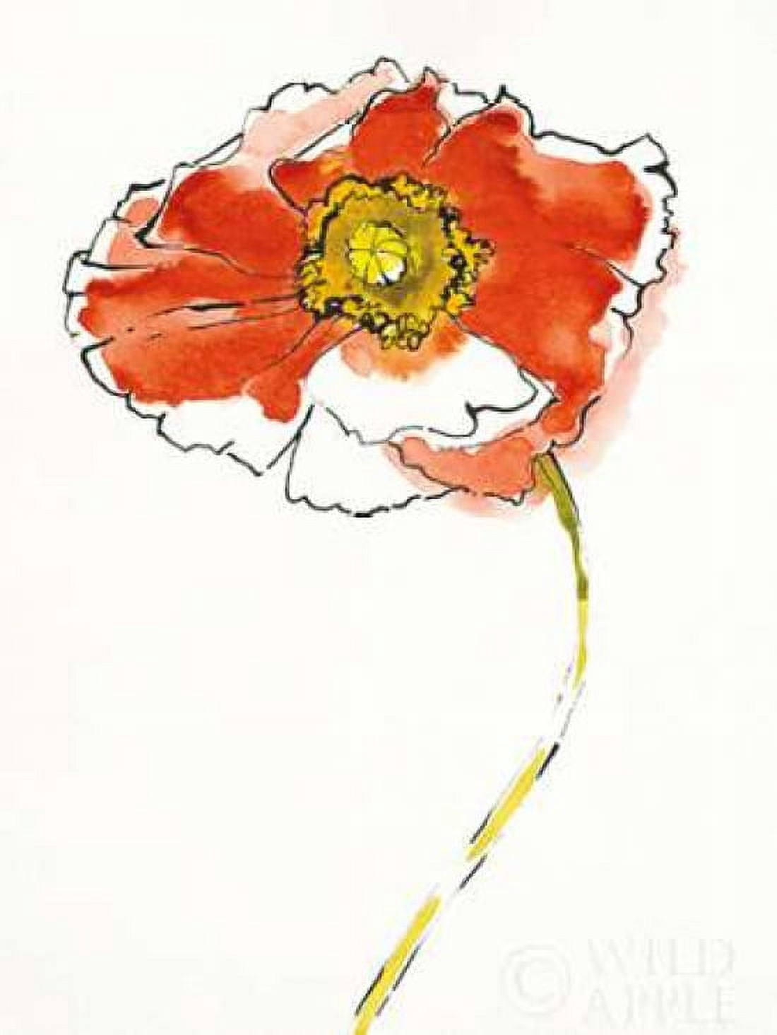 Red Icelands I on White Canvas Art - Shirley Novak (22 x 28)