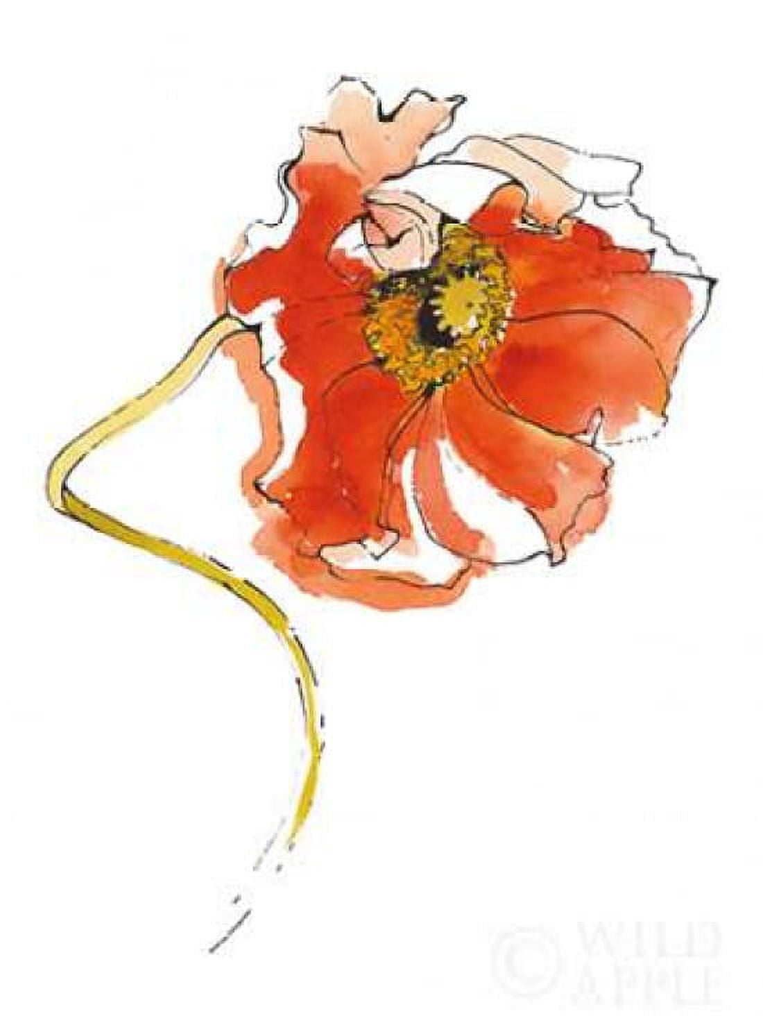 Red Icelands II on White Canvas Art - Shirley Novak (22 x 28)