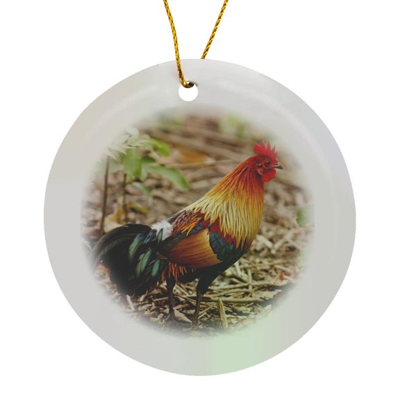 3drose, Red Jungle Fowl, Corbett National Park, -as10 Jra0450 - Jagdeep Rajput, Circle Porcelain Ornament
