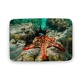 thumbnail image 1 of Red Knobbed Sea Star Area Doormat, Starfish Doormat, Green And Orange Area Doormat, Underwater Sea Star Doormat, Home Decor, Welcome Mat,Indoor Doormat,Front Back Door Mat 16”x24”, 1 of 7
