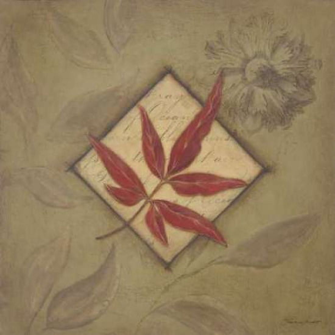 Red Leaf Canvas Art - Stephanie Marrott (24 x 24)