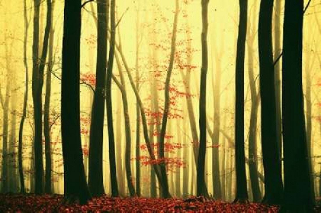 Red Leaves Canvas Art - Lars Van de Goor (24 x 36)
