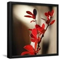 thumbnail image 1 of Red Leaves II, Framed Art Print Wall Art by Rita Crane Sold by Art.Com, 1 of 5