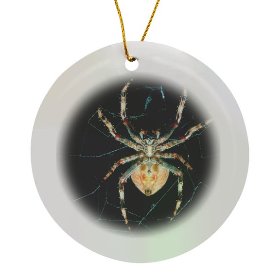 3drose, Red-legged Orb-web Spider. North Coast, Kwazulu-natal, South Africa., Circle Porcelain Ornament