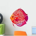 thumbnail image 1 of Red Leopard Discus Fish Wall Mural by Wallmonkeys Peel and Stick Graphic (12 in H x 11 in W) WM3528, 1 of 4
