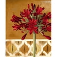 thumbnail image 1 of Red Lily of the Nile I Poster Print by Patricia Pinto, 1 of 2