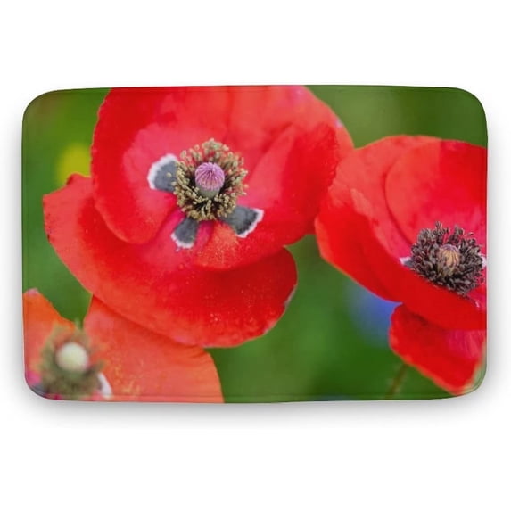 Red Line of Poppy Petals Welcome Door Mats for Indoor Outdoors,Front Door Entrance Mat,16x24 Inch,Cute Decor Doormat,Entrance Durable Retro Door Mat,Rustic Mats,Friends Door Mat,Home Decor