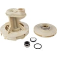 thumbnail image 1 of Red Lion 305585007 Overhaul Repair Kit for RL-SWJ100 Shallow Well Jet Pump, Natural, 1 of 5