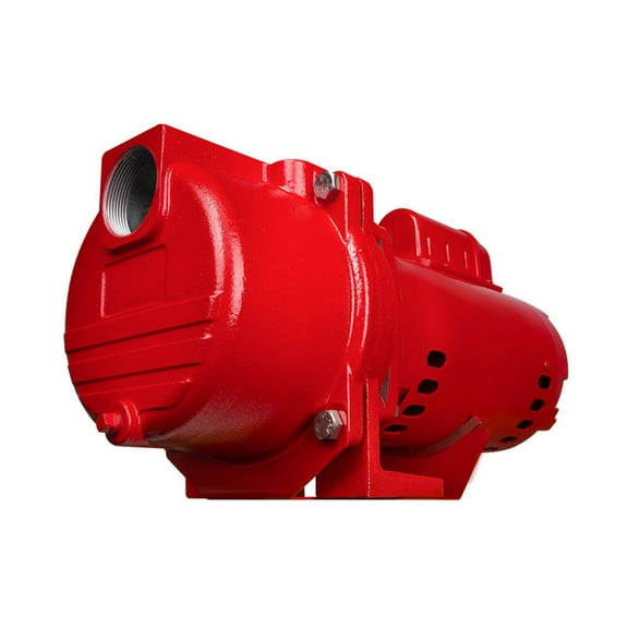 Red Lion Brass Impeller Sprinkler Pump, RL-SPRK200-BR, 2 Hp