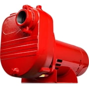 Red Lion RL-S50   HP 2940 GPH Self Priming Cast Iron Effluent Pump, 1  -Inch NPT Suction and Discharge