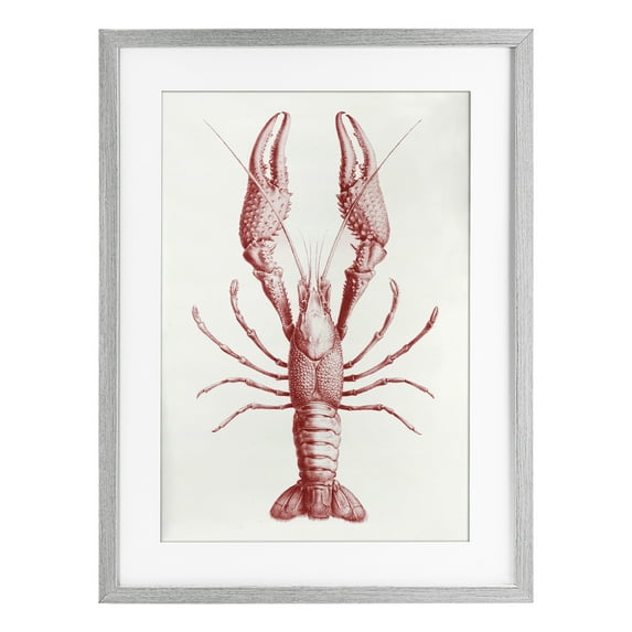 Stupell Industries Red Lobster Traditional Details Gray Framed Print Under Glass, design by Tina Higgins Designs Inc., 23 x 17