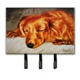 thumbnail image 1 of Red Longhaired Dachshund Leash or Key Holder, 1 of 1
