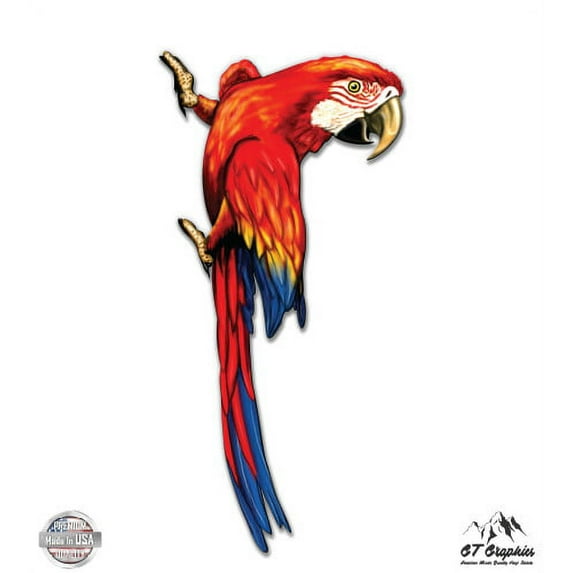 Red Macaw on Wall - 8" Vinyl Sticker - For Car Laptop I-Pad - Waterproof Decal