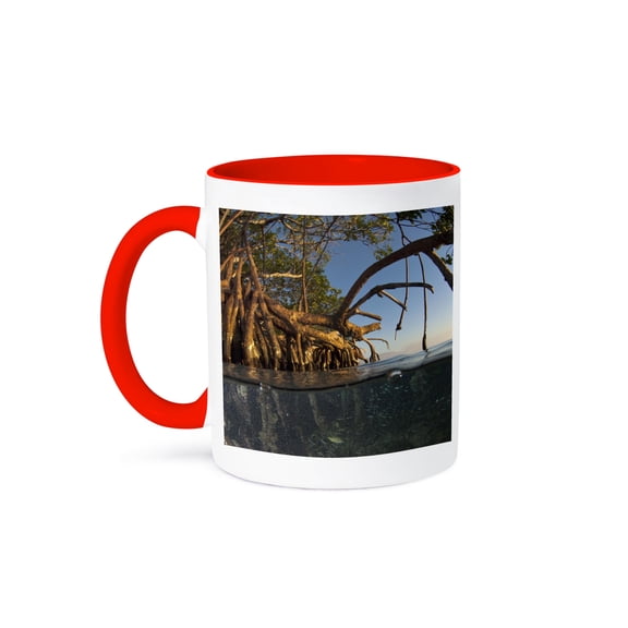 3drose, Red Mangrove Tree, Belize - Sa02 Pox0096 - Pete Oxford, 11oz Two-tone Red Mug