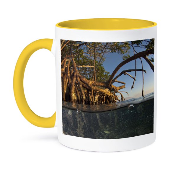 3drose, Red Mangrove Tree, Belize - Sa02 Pox0096 - Pete Oxford, 11oz Two-tone Yellow Mug