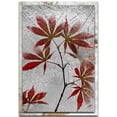 thumbnail image 1 of Red Maple Distressed Frame, 1 of 2