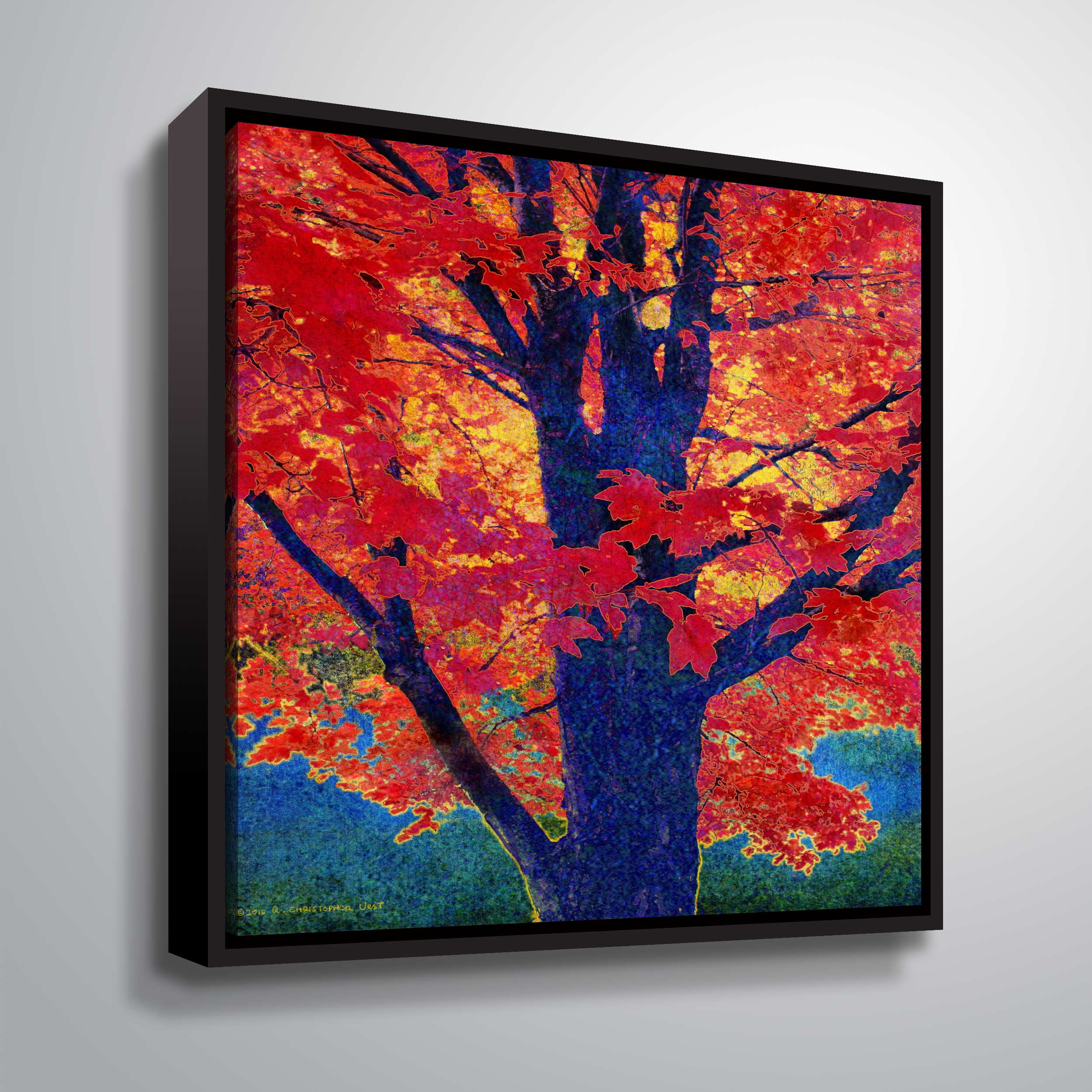 Red Maple II