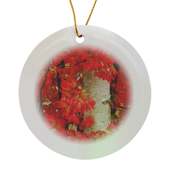 3drose, Red Maple Leaves in Autumn and White Birch Tree Trunk, Michigan., Circle Porcelain Ornament