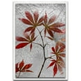 thumbnail image 1 of Red Maple Parchment Frame, 1 of 2