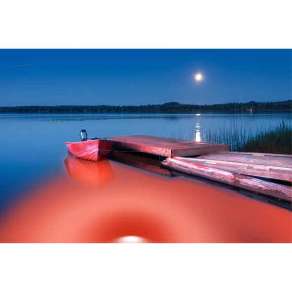 Red Mega-Watt Underwater LED Lighting System (120 foot power cord)