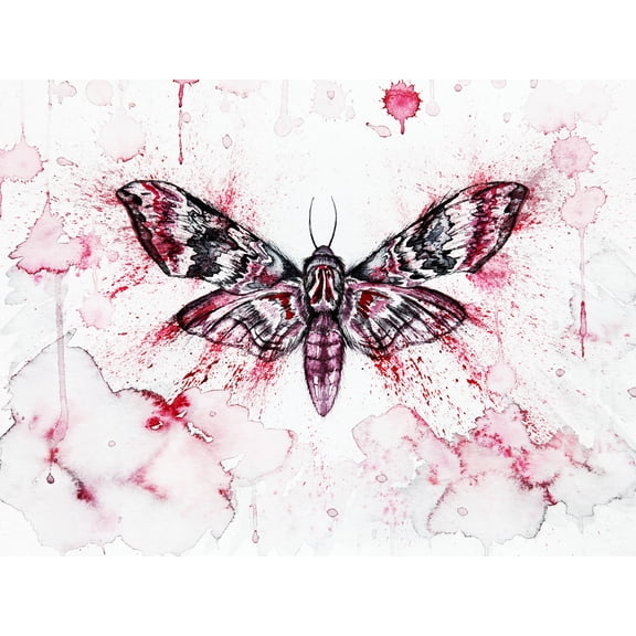 Red Moth Wings Insect Watercolour Painting Extra Large XL Wall Art Poster Print