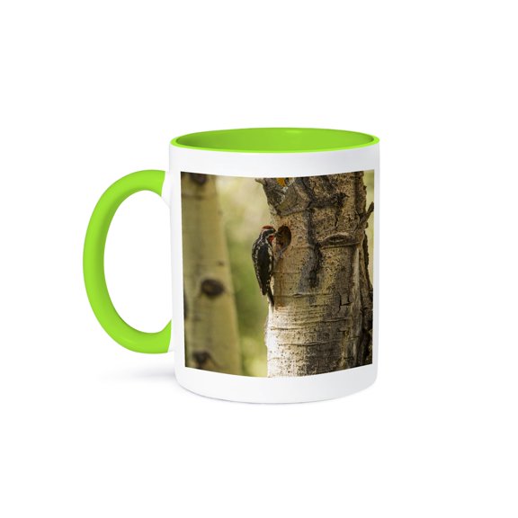3drose, Red-naped Sapsucker with Nest in Aspen Tree - Us06 Pwo0017 - Piperanne Worcester, 11oz Two-tone Green Mug