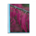 thumbnail image 1 of Red   Nature Photography Book Sheet Protectors Portfolio Binder Folder, 1 of 3