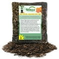 thumbnail image 1 of Red Navel Orange Tree Growing Soil Mix  3 Quarts - Custom Soil Blend  Potting Mix for Red Navel Orange Trees  Specially Developed by and for Professional Nursery Growers - Nutrient-Rich Formula, 1 of 7