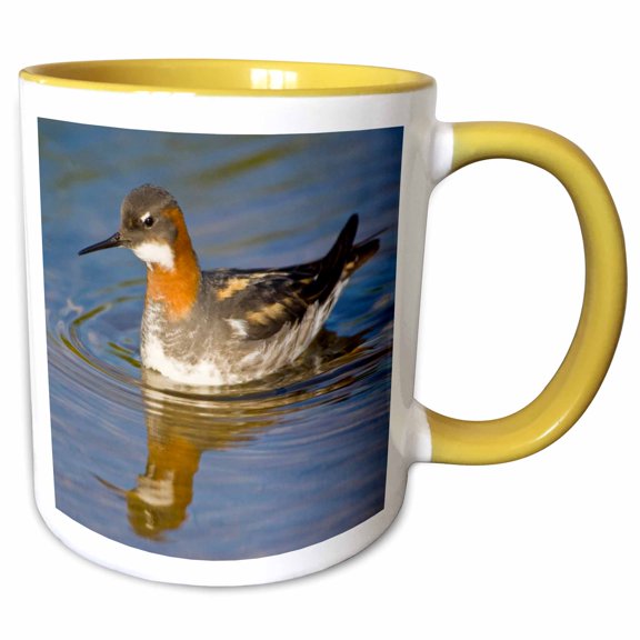 3drose, Red-necked Phalarope Bird, Latrabjerg, Iceland - Eu14 Rbe0116 - Ralph H. Bendjebar, 11oz Two-tone Yellow Mug