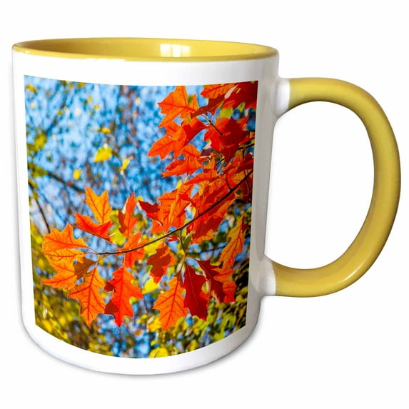 3drose, Red Oak Tree Leaves on a Sunny Autumn Day, 15oz Two-tone Yellow Mug